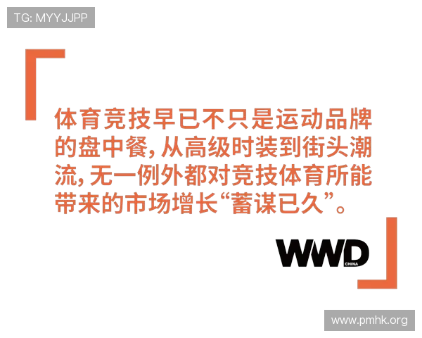 OP7体育全新视角解析最新赛事动态与运动员表现深度报道