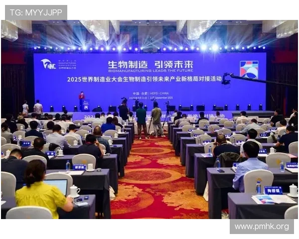 巅峰国际引领未来发展潮流打造创新产业新格局