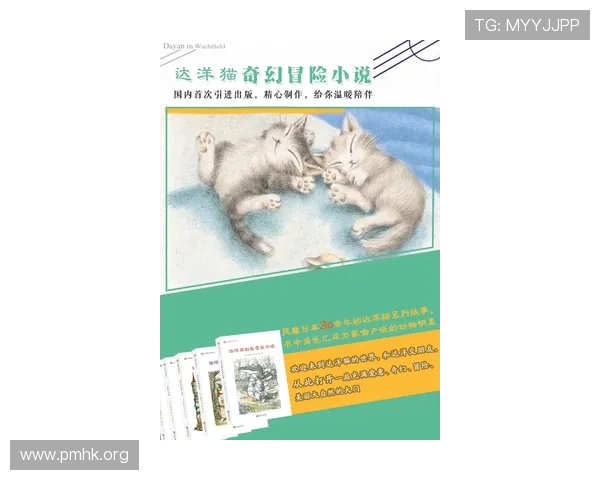 猫先生的奇幻日常与城市探险故事全记录